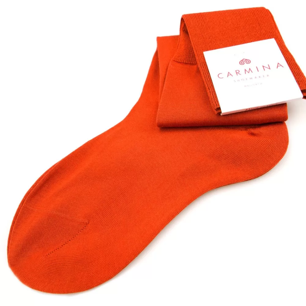 Sale Carmina Calcetines lisos en NARANJA