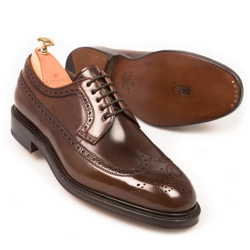 Outlet Carmina ZAPATOS BLUCHER CORDOVAN 532 DETROIT