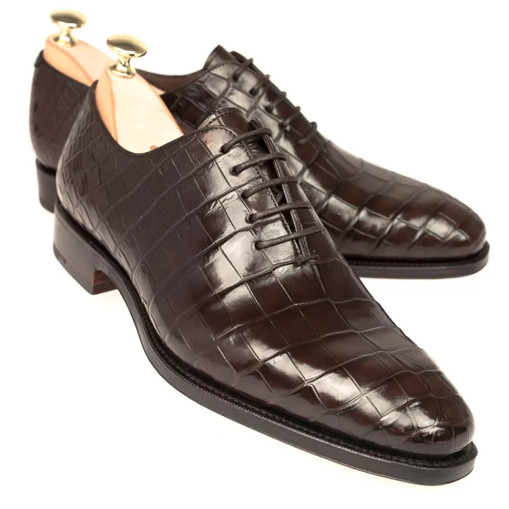 Flash Sale Carmina ZAPATOS DE ALLIGATOR OXFORD 910 RAIN MARRON