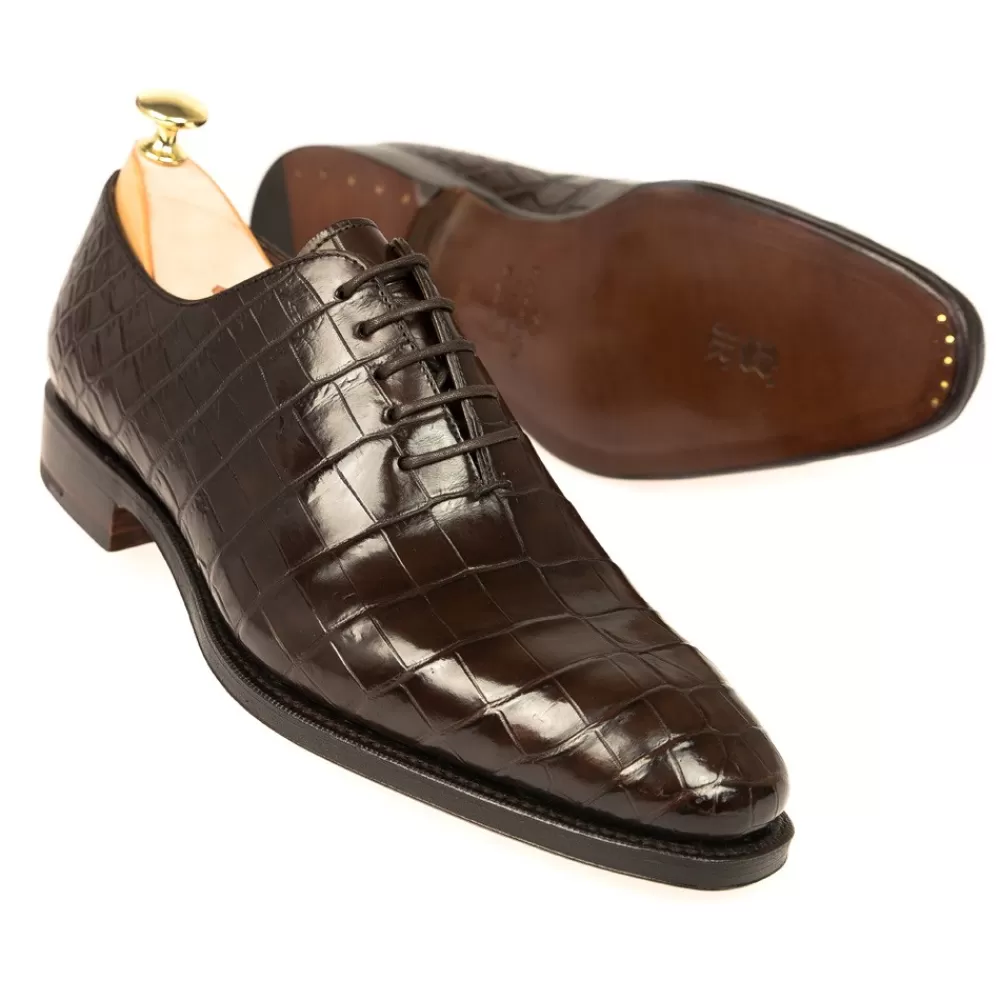 Flash Sale Carmina ZAPATOS DE ALLIGATOR OXFORD 910 RAIN MARRON