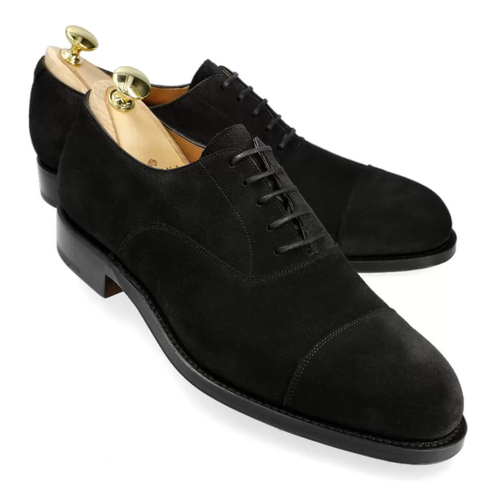 Hot Carmina ZAPATOS OXFORD 732 FOREST NEGRO