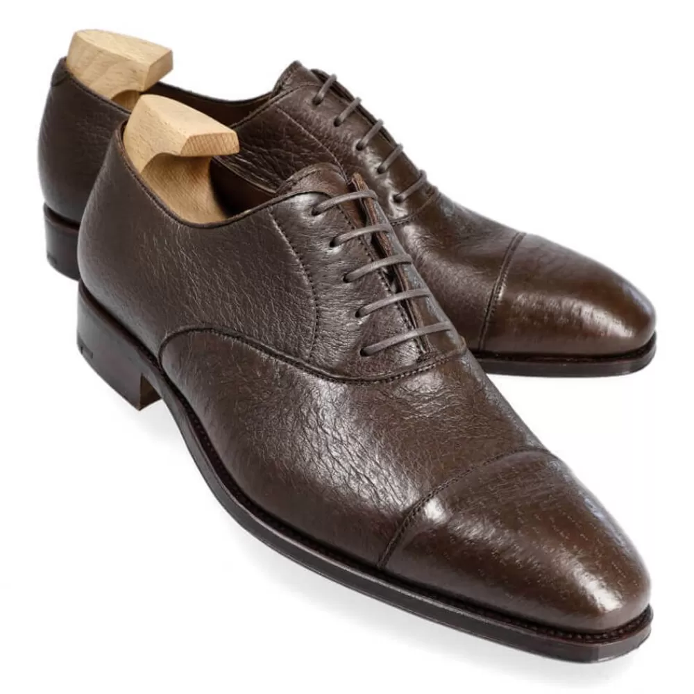 Sale Carmina ZAPATOS OXFORD 80386 RAIN MARRON