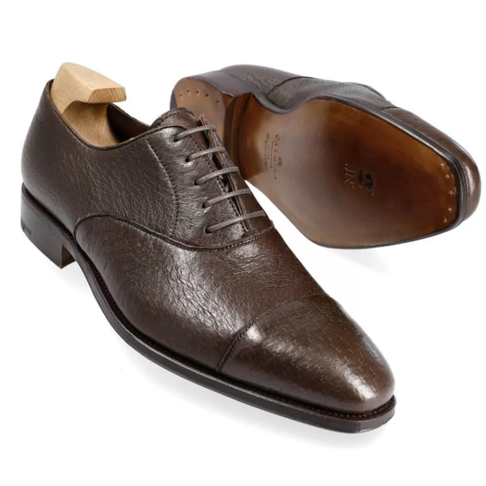 Sale Carmina ZAPATOS OXFORD 80386 RAIN MARRON