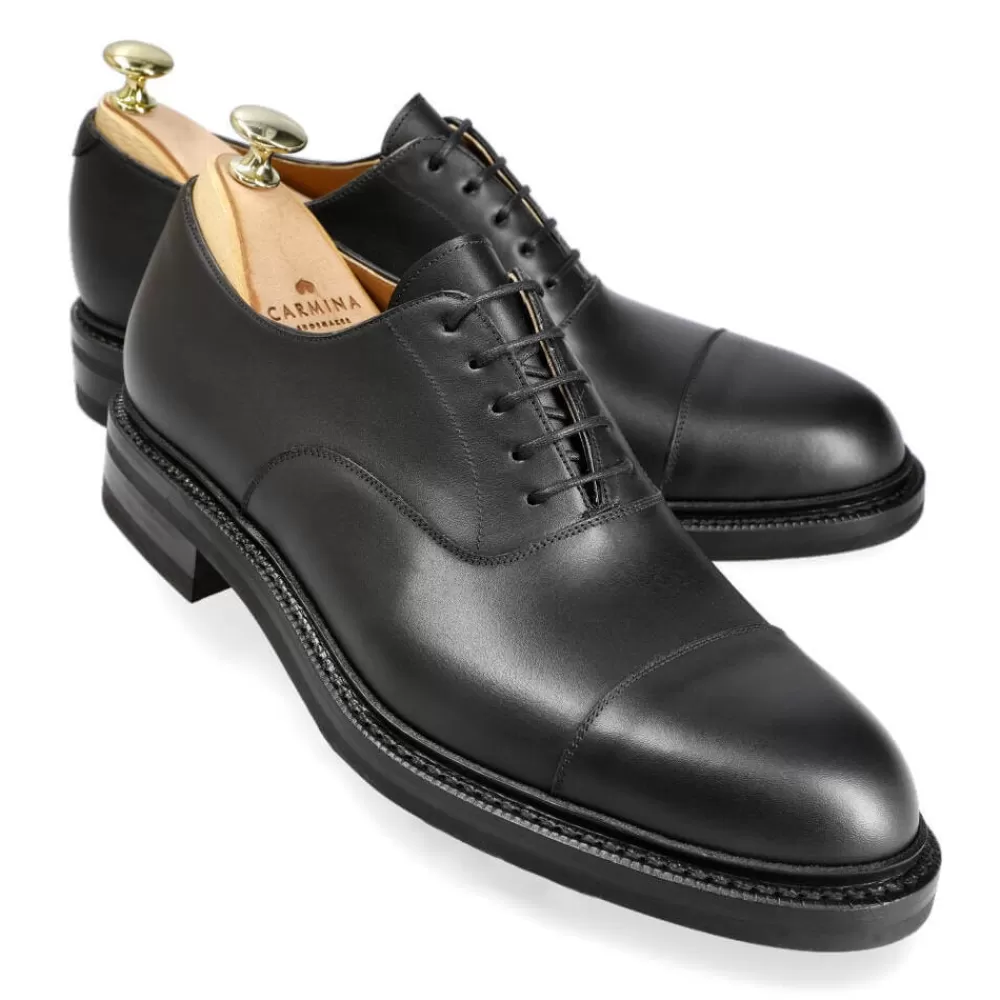 Hot Carmina ZAPATOS OXFORD PUNTERA RECTA 732 FOREST NEGRO