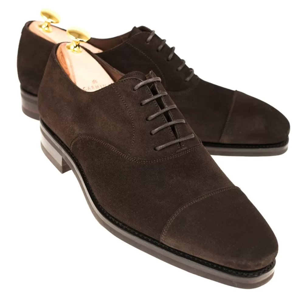 New Carmina ZAPATOS OXFORD PUNTERA RECTA 80386 RAIN MARRON