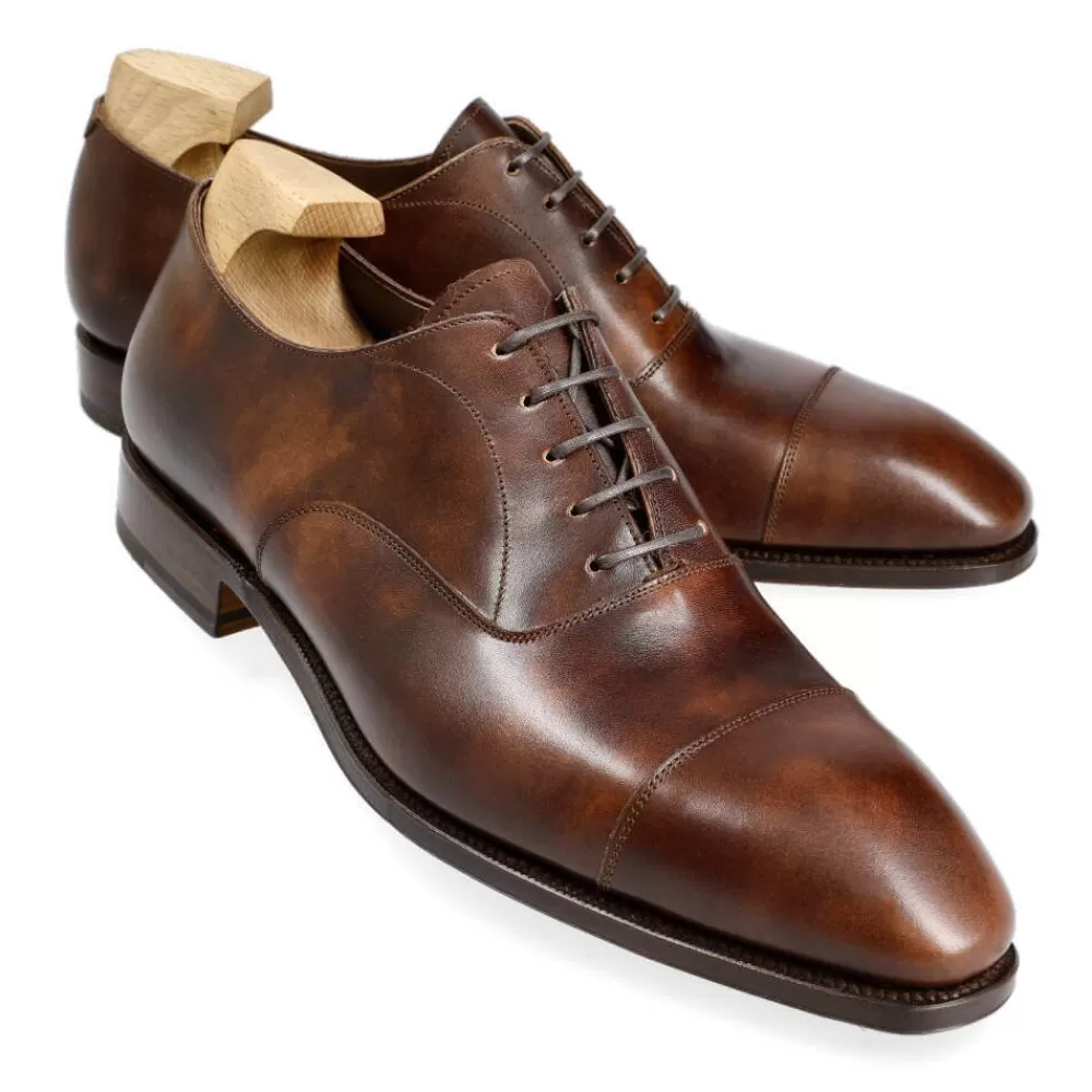 New Carmina ZAPATOS OXFORD PUNTERA RECTA 80204 SIMPSON MARRON