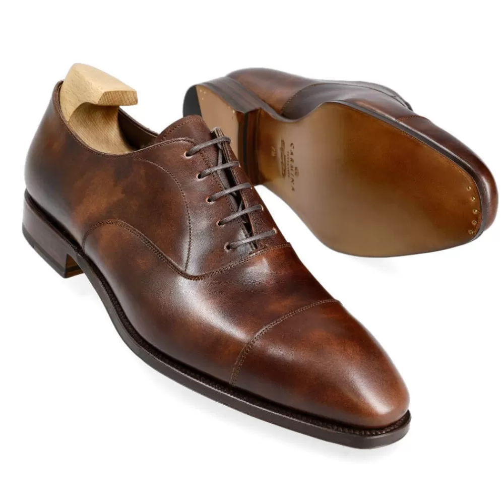 New Carmina ZAPATOS OXFORD PUNTERA RECTA 80204 SIMPSON MARRON